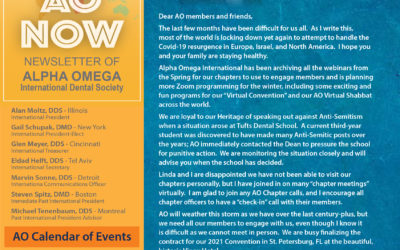AO Now November 2020 Member Newsletter